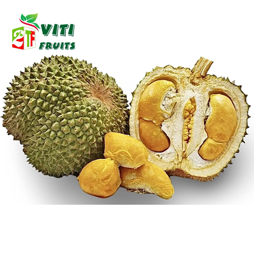 Sầu riêng Blackthorn