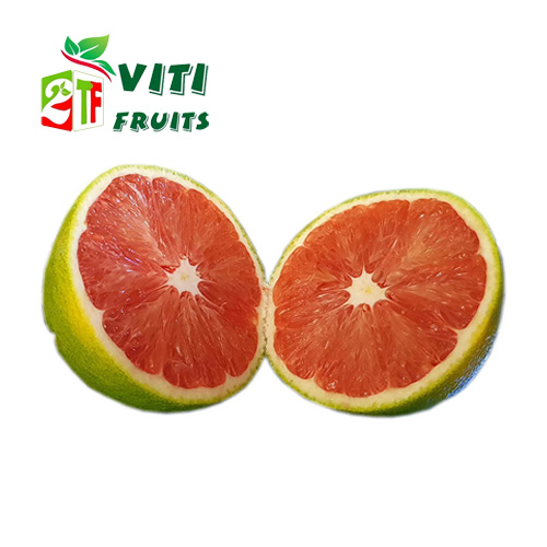 CAM CARA RUỘT ĐỎ KHÔNG HẠT