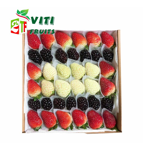 DÂU TÂY MIX PHÚC BỒN TỬ