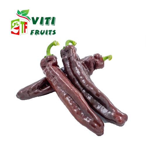 ỚT SOCOLA