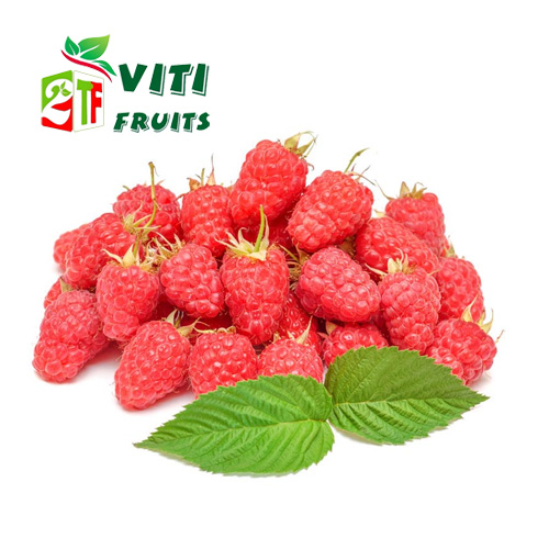 QUẢ MÂM XÔI ĐỎ