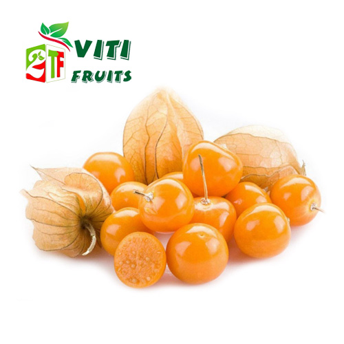 QUẢ TẦM BÓP NAM MỸ