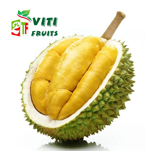 Sầu riêng musangking
