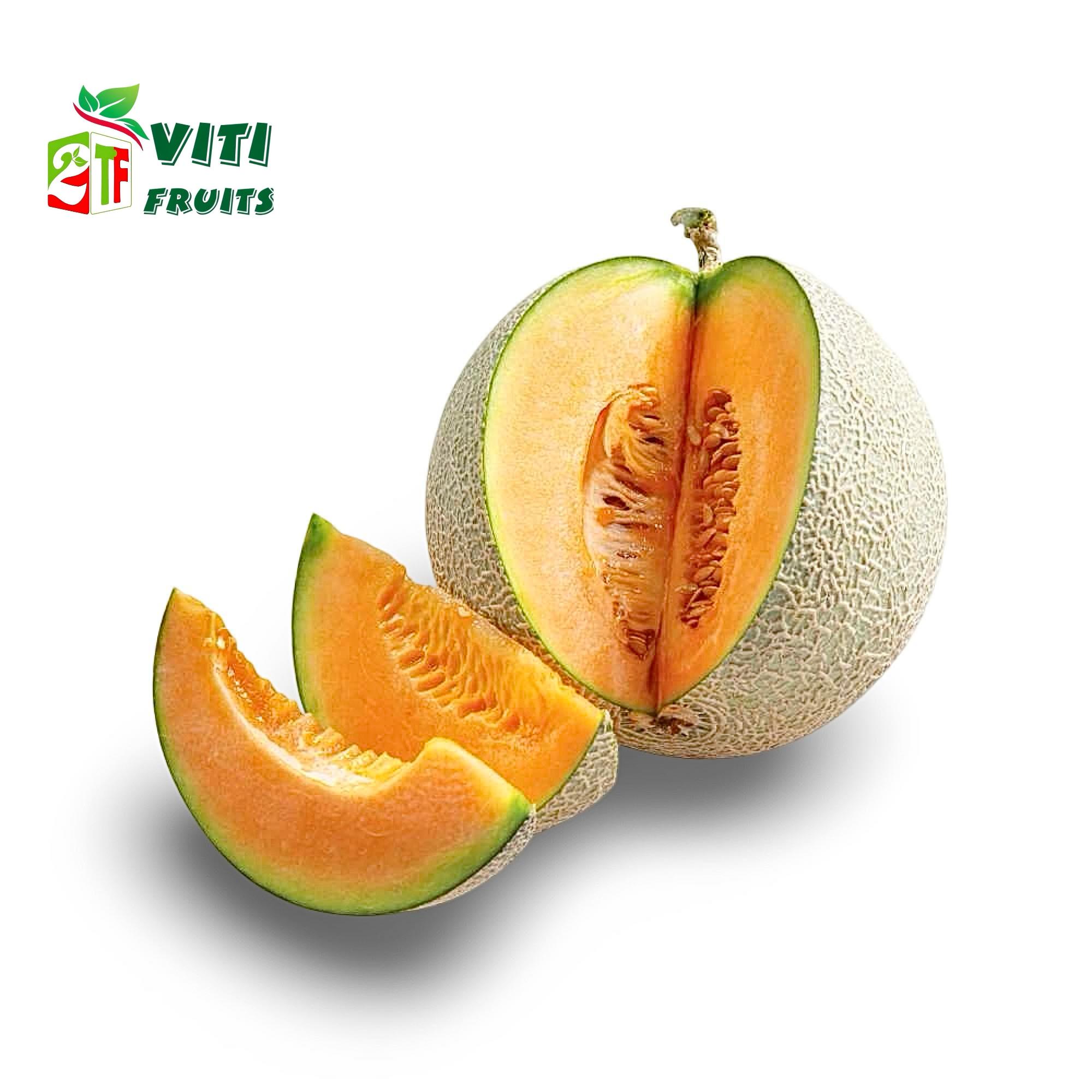 Dưa lưới TL3
