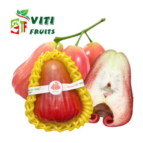 Mận MST