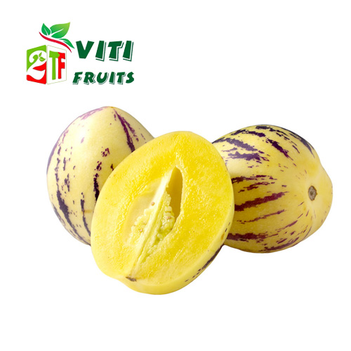 QUẢ SÂM SỮA