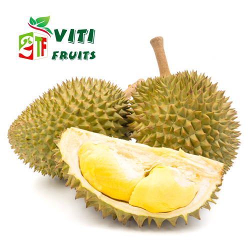 Sầu riêng ri6