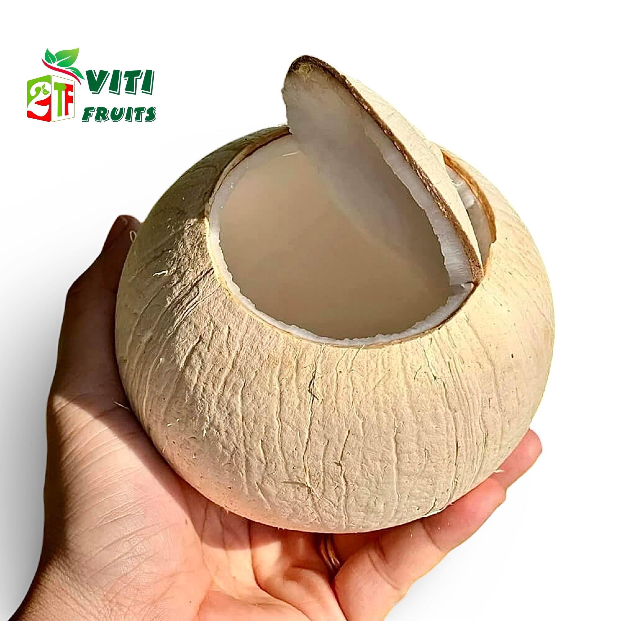 Dừa Trọc